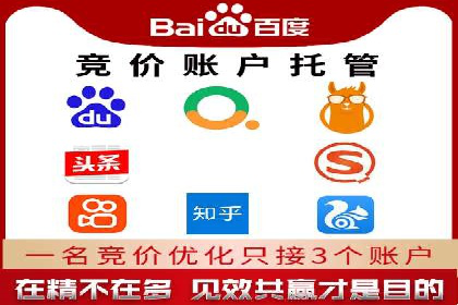 竞价SEM托管服务效果评估与案例分析